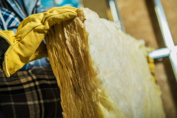 Best Eco-Friendly Insulation in Leisure Village East, NJ