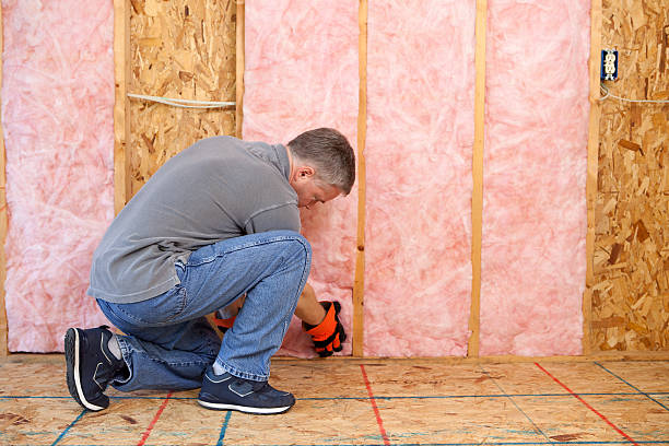 Best Spray Foam Insulation in Leisure Village East, NJ